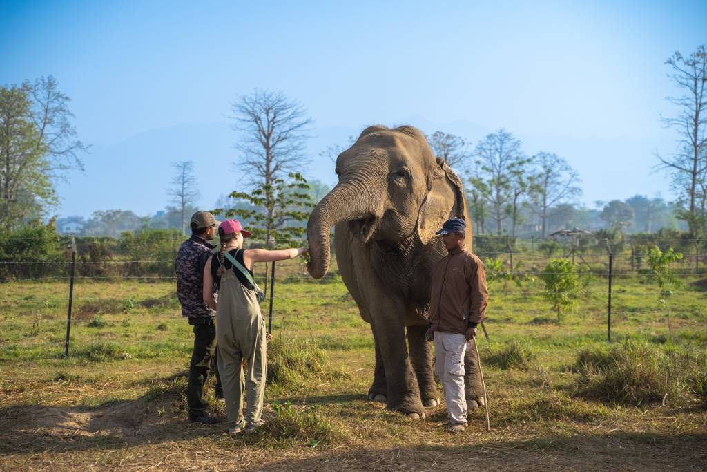 Elephant Feeding at Sapana Village Lodge